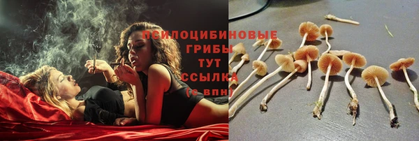 а пвп мука Баксан