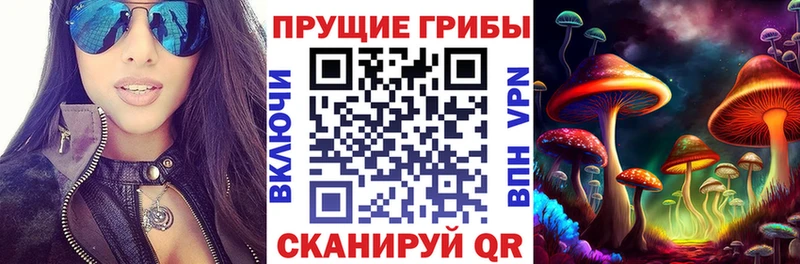 Галлюциногенные грибы Cubensis Красный Холм