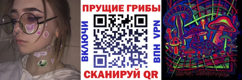 Псилоцибиновые грибы прущие грибы  Красный Холм 
